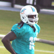 Illustration for article titled Dolphins Struggling To Get Shy Rookie To Participate In Practice